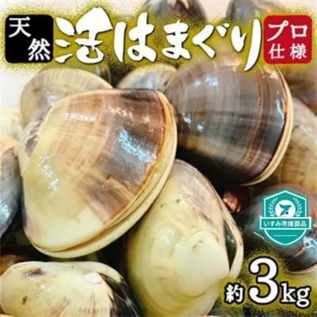 天然はまぐり約3kg (千葉県産)_はまぐり 千葉県産 天然 美味しい_【配送不可地域：離島・沖縄県】【1306039】