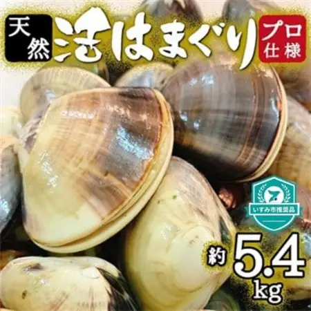 プロも認める活はまぐり 国産 天然 約5.4kg 千葉県 九十九里産_蛤 ハマグリ 魚貝 魚介 海鮮 貝 出汁 だし プロ仕様 人気 送料無料_【配送不可地域：離島・沖縄県】【1226356】