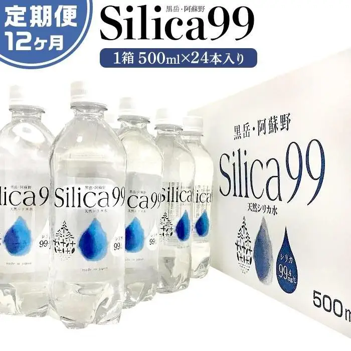 ＜１２ヶ月連続お届け 定期便＞天然炭酸水Silica99　500ml×24本