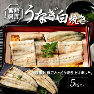 宮崎県産うなぎ白焼き 5尾セット_K10_0012_3