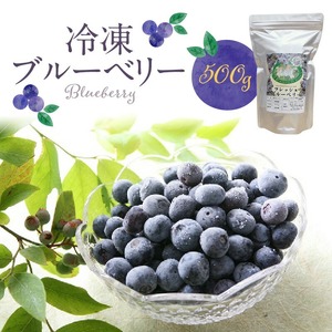 福岡県産 冷凍ブルーベリー 500g_ブルーベリー 冷凍 500g 1パック 福岡県産 果物 フルーツ 冷凍フルーツ デザート おやつ 冷凍食品 食品  お取り寄せ お取り寄せフルーツ 美味しい 九州 国産 トッピング アレンジ ヨーグルト シャーベット アイスクリーム スムージー 久留米市 送料無料 〔Fx010〕