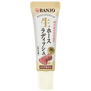生ホースラディッシュ 1本 25g ×10 薬味 辛味 調味料 三島市 静岡県