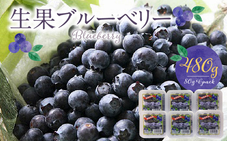 福岡県産 ブルーベリー生果 480g_福岡県産 生果 ブルーベリー 80g × 6パック 計 480g 耳納連山 麓 筑後川 恵み 国産 果物 フルーツ 新鮮 冷蔵 冷凍保存可 デザート グルメ お取り寄せ お取り寄せグルメ 九州 福岡県 久留米市 送料無料 〔Fx009〕