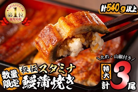 【数量限定】 秘伝のスタミナうなぎ蒲焼き 特大サイズ×3尾 b0-135