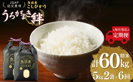 令和7年産 魚沼産コシヒカリ 定期便 計60kg（5kg2袋×毎月全6回） うちがまき絆 | 魚沼産 こしひかり