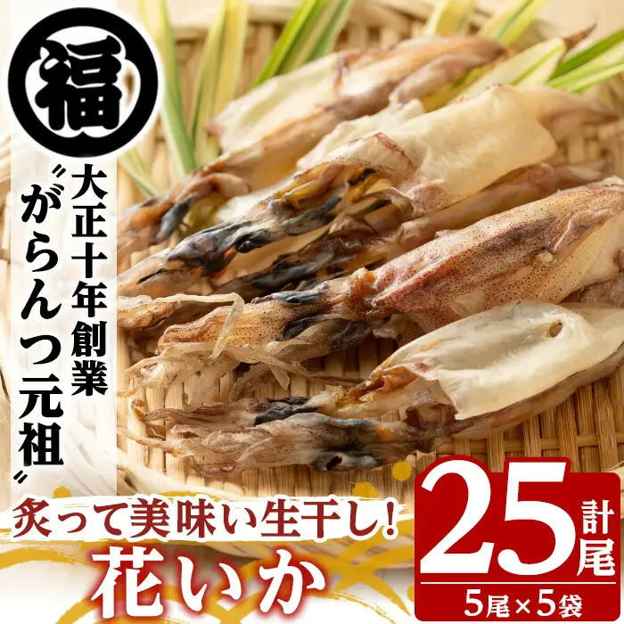 鹿児島県阿久根市産生干し「花いか」(計25尾・5尾×5袋)国産 魚介 干物 ひもの イカ 烏賊 がらんつ干物【マルフク川畑水産】akn029-06