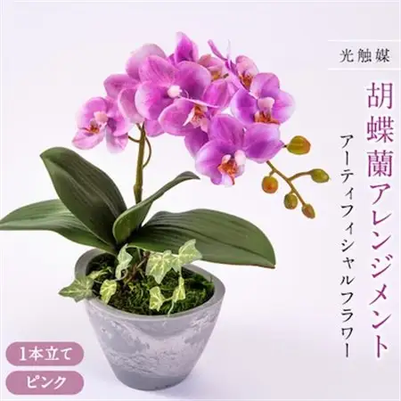 光触媒胡蝶蘭(アーティフィシャルフラワー)1本立て(ピンク)_花・観葉植物 造花・プリザーブドフラワー 花 _【1315295】