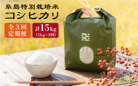 【全3回定期便】とくべつの中のとくべつ 糸島 特別栽培米 5kg （ コシヒカリ ）《糸島》【itoshimacco / 株式会社やました】 [ARJ025]