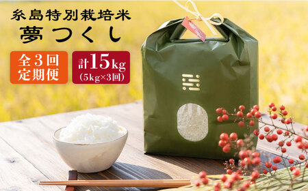 【全3回定期便】とくべつの中のとくべつ 糸島 特別栽培米 5kg （ 夢つくし ）《糸島》【itoshimacco / 株式会社やました】 [ARJ027]