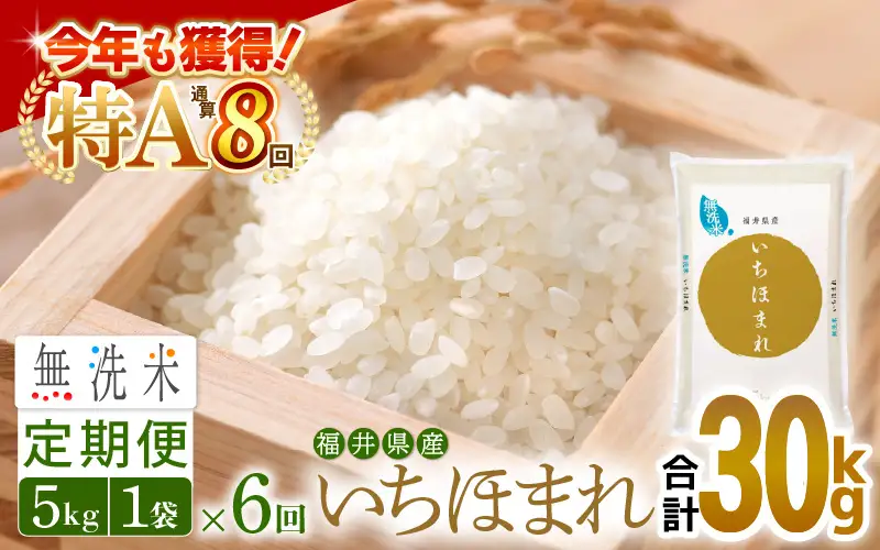 【6回定期便】無洗米 いちほまれ 5kg 特A 福井県 無洗 [e27-i010]