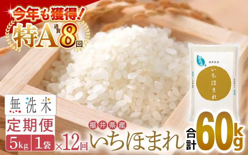 【12回定期便】無洗米 いちほまれ 5kg 特A 福井県 無洗 [e27-n007]