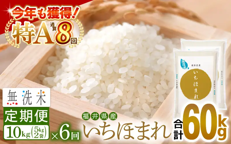【6回定期便】無洗米 いちほまれ 10kg 特A 福井県 無洗 [e27-n008]