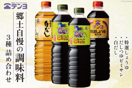 調味料 テンヨ 定番3種セット 特選しょうゆ & だしつゆビミサン & 白だし TS-30B