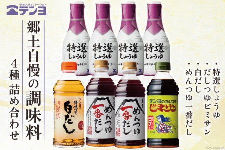 調味料 テンヨ お試し 4種セット TP-30 特選しょうゆ & だしつゆビミサン & 白だし & めんつゆ一番だし