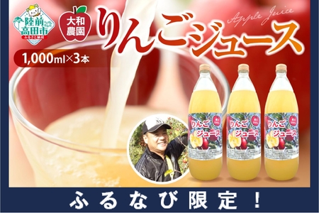【ふるなび限定】 搾りたてりんごジュース 1,000ml×3本 完熟 りんごジュース FN-Limited-SP