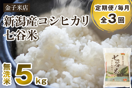 【令和7年産】【定期便3回毎月お届け】老舗老舗米穀店が厳選 新潟県加茂市産コシヒカリ「七谷米」無洗米5kg 〈順次出荷〉 従来品種 金子米店