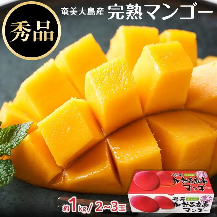 【2026年発送】奄美大島産　完熟マンゴー 約1キロ（2～3玉）| マンゴー