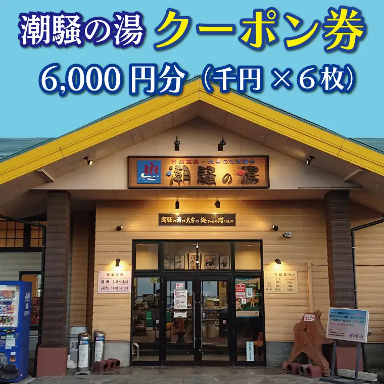 天然温泉 潮騒の湯 クーポン券 6000円分（1000円×6枚） 露店風呂 サウナ おんせん 大洗サンビーチ 海鮮 魚介 食事 宿泊 チケット 利用券 アウトドア 旅行_CJ002