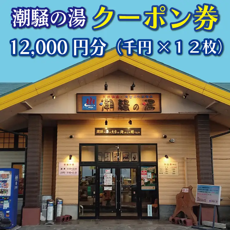 天然温泉 潮騒の湯 クーポン券 12000円分（1000円×12枚） 露店風呂 サウナ おんせん 大洗サンビーチ 海鮮 魚介 食事 宿泊 チケット 利用券 アウトドア 旅行_CJ004