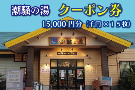 天然温泉 潮騒の湯 クーポン券 15000円分（1000円×15枚） 露店風呂 サウナ おんせん 大洗サンビーチ 海鮮 魚介 食事 宿泊 チケット 利用券 アウトドア 旅行_CJ005
