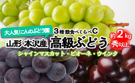 大人気！【こんのぶどう園】山形本沢産 高級ぶどう 3種食べくらべC 秀以上 約2kg 【令和8年産先行予約】FU22-337 くだもの 果物 フルーツ 山形 山形県 山形市 2026年産