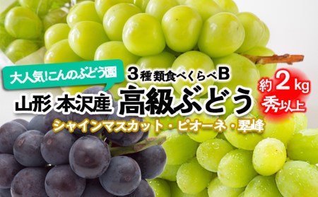大人気！【こんのぶどう園】山形本沢産 高級ぶどう 3種食べくらべB 秀以上 約2kg 【令和8年産先行予約】FU22-338 くだもの 果物 フルーツ 山形 山形県 山形市 2026年産