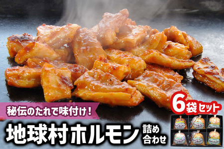地球村ホルモン詰め合わせ 6袋セット [0397]