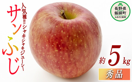 りんご サンふじ 秀 5kg 光センサー選別品 ながの農業協同組合 沖縄県への配送不可 2026年12月上旬頃から2026年12月下旬頃まで順次発送予定 令和8年度収穫分 信州 果物 フルーツ リンゴ 林檎 長野 予約 長野県 飯綱町 [0339]