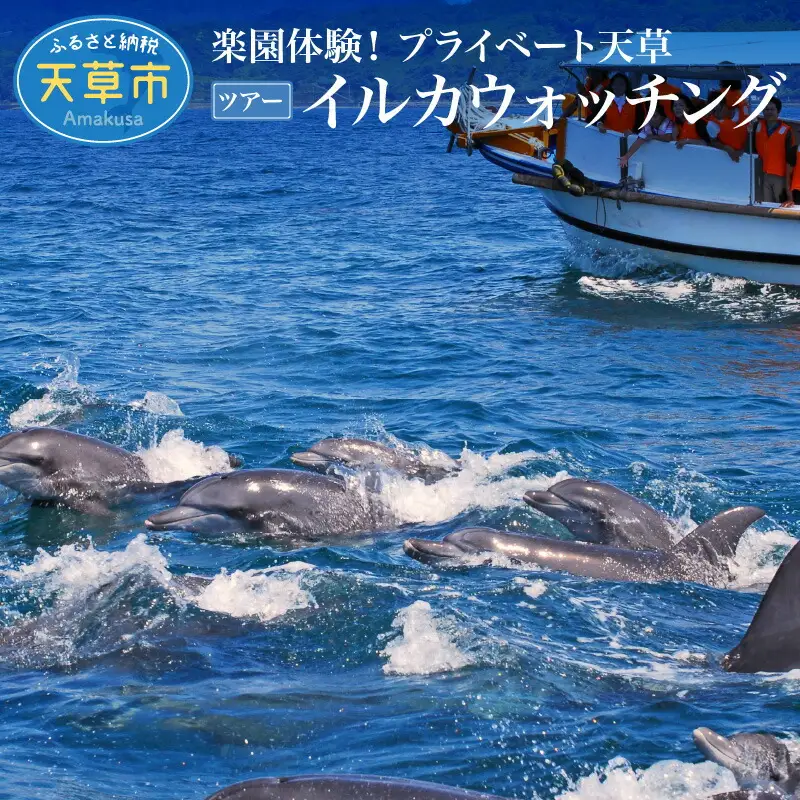 S125-004_楽園体験プライベート天草（ツアー：イルカウォッチング）