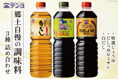 調味料 テンヨ スタンダード3種セット 特選しょうゆ & だしつゆビミサン & 白だし TS-20