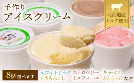 北海道産 手作りアイスクリーム 120ml×8個セット (お好み詰め合わせ)  南幌町 国産 NP1-293