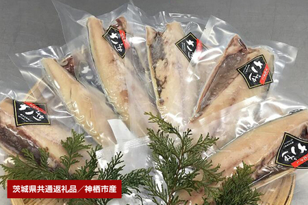大トロさば文化干し　6枚（茨城県共通返礼品・神栖市産） GN-001