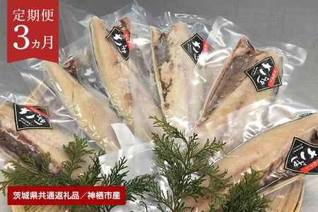 大トロさば文化干し　6枚【3ヶ月定期便】（茨城県共通返礼品・神栖市産） GN-002