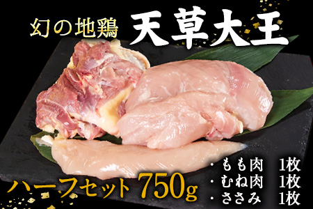 鶏肉 天草大王 ハーフセット 約750g