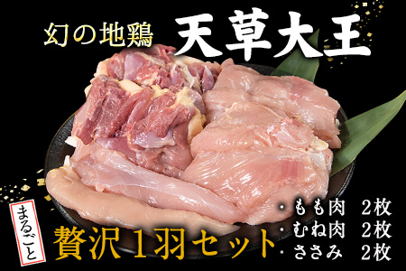 鶏肉 天草大王 贅沢1羽セット 約1.5kg【幻の地鶏】もも・むね・ささみ 各2枚