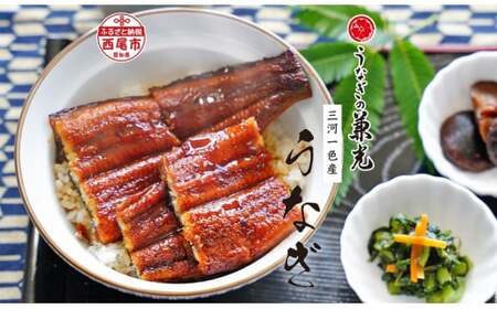 愛知県三河一色産うなぎ蒲焼き　超特大サイズ2尾(合計500g以上) 国産 愛知県産 西尾市産 西尾一色産 うなぎの兼光 鰻 ウナギ 蒲焼き 惣菜 総菜 タレ付き たれセット 海鮮 魚 丑の日 土用の丑の日 ・U039-19