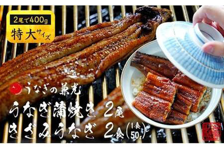 愛知県三河一色産うなぎ蒲焼き特大サイズ2尾+きざみうなぎ2食入りセット(長焼き2尾で400g+ きざみうなぎ50g×2食) 国産 愛知県産 西尾市産 西尾市一色産 うなぎの兼光 鰻 ウナギ 蒲焼き 惣菜 総菜 タレ付き たれセット 巨大 きざみ キザミ 刻み 丑の日 土用の丑の日 ・U022-16