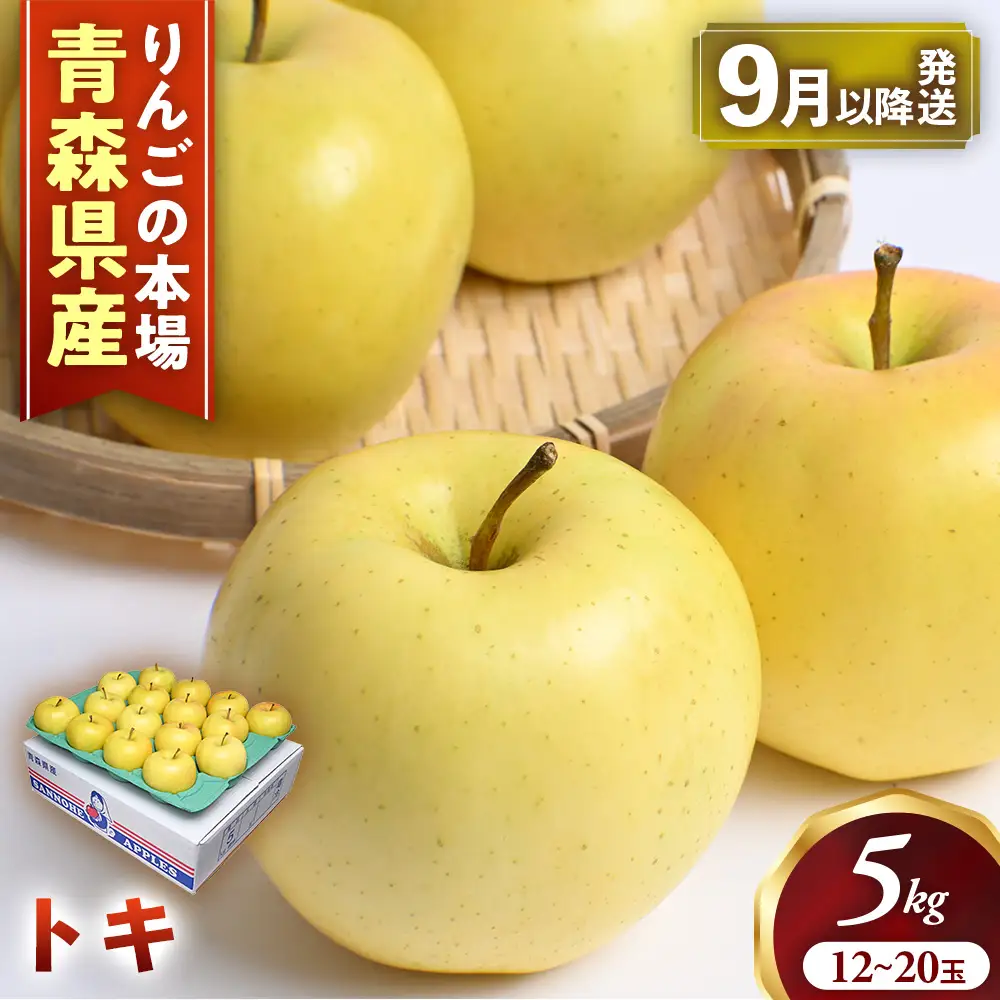 2026年発送 青森県産りんご トキ 約5kg りんご | 青森県三戸町