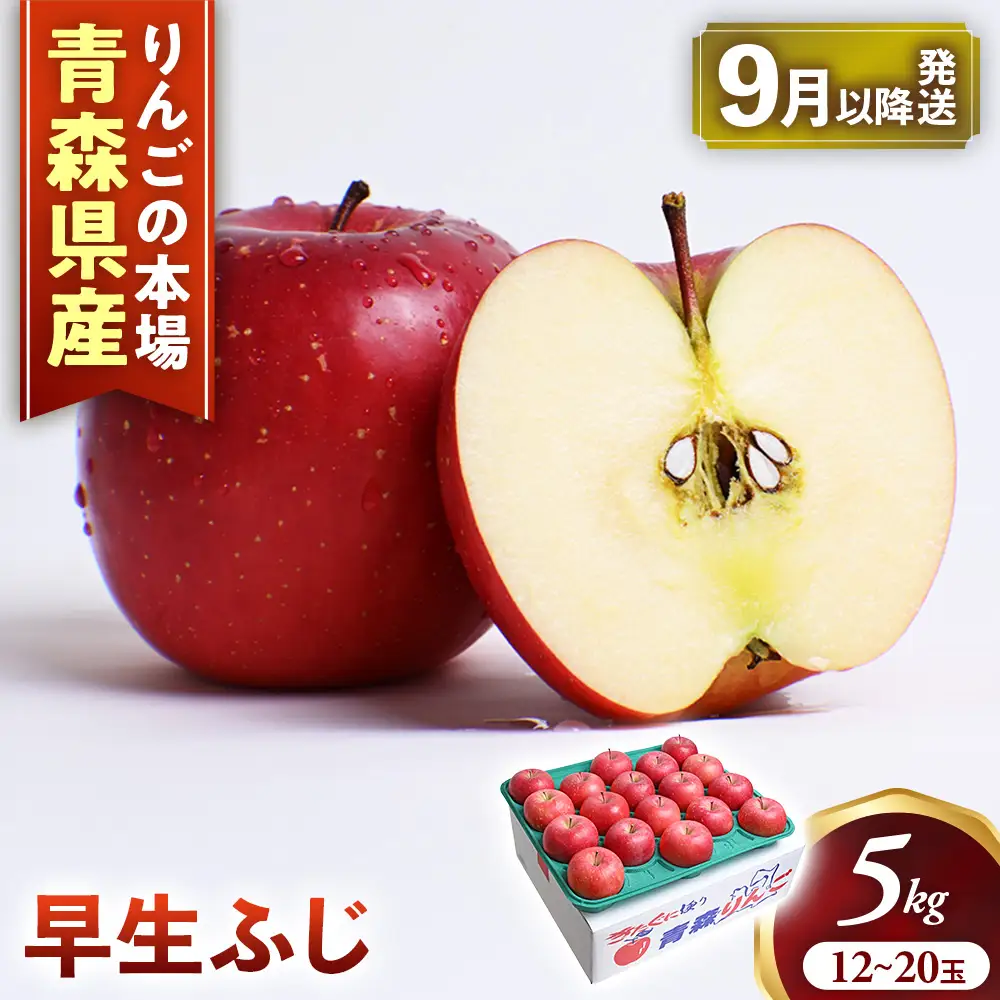 青森県産りんご 早生ふじ 約5kg りんご 9月下旬～