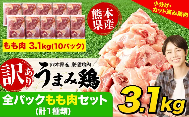鶏肉 もも肉合計3.1kg  小分け 若鶏 鶏肉