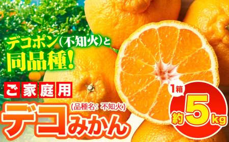 みかん 訳あり デコみかん約5kg 果物 みかん《3-7日以内に出荷予定(土日祝除く)》