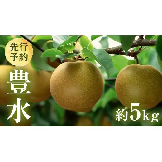 【 2026年8月下旬発送開始 】 茨城県産 梨 豊水 （約 5kg ） 10～14玉