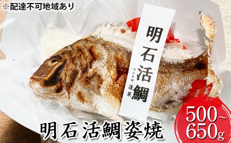 明石活鯛姿焼 500～650g[ 明石鯛 鯛 焼鯛 祝い鯛 お祝い ] 魚貝類 タイ 加工食品 厳選 贅沢 レンジ お鍋 アヒージョ 