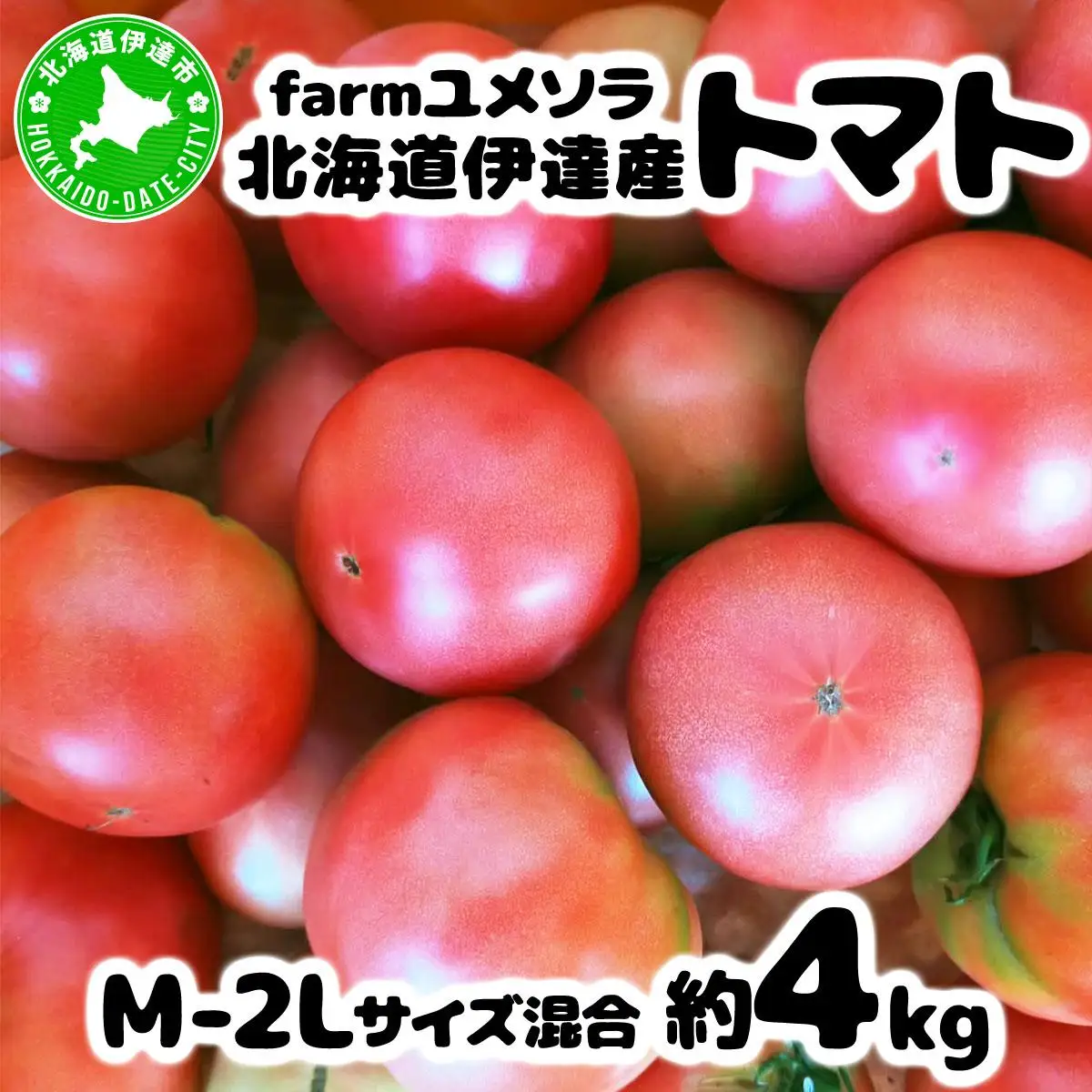 ◆2026年7月から順次出荷◆ farmユメソラ 大玉 トマト 約4kg【famy-001】