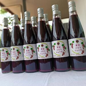 宮田ぶどうジュース 500ml × 12本セット 果汁100％ ぶどう 長野県 宮田村 国産 本坊酒造 
