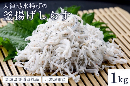大津港水揚げの釜揚げしらす １kg（茨城県共通返礼品・北茨城市産） HD-001