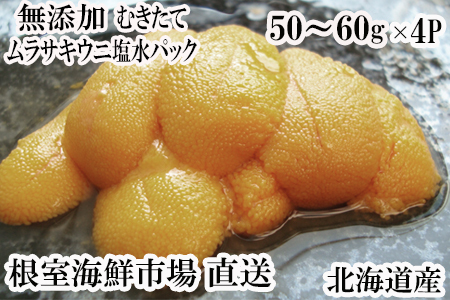 根室海鮮市場＜直送＞無添加むきたてムラサキウニ塩水パック50～60g×4P[5月下旬以降発送] B-28068