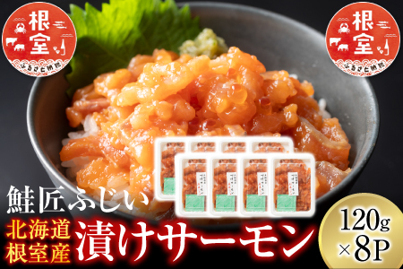 【北海道根室産】漬けサーモン 120g×8P B-42098