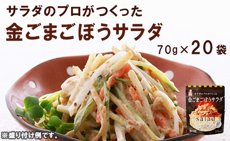 金ごまごぼう サラダ パウチ 20袋 食べきりサイズ