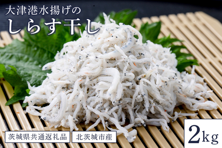 大津港水揚げのしらす干し ２kg（茨城県共通返礼品・北茨城市産） HD-004